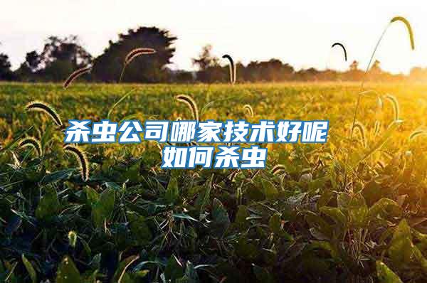 殺蟲公司哪家技術(shù)好呢  如何殺蟲