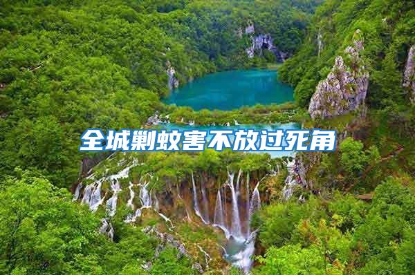 全城剿蚊害不放過(guò)死角