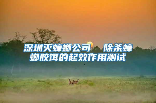 深圳滅蟑螂公司  除殺蟑螂膠餌的起效作用測(cè)試