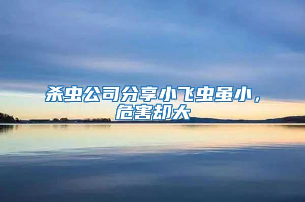 殺蟲公司分享小飛蟲雖小，危害卻大