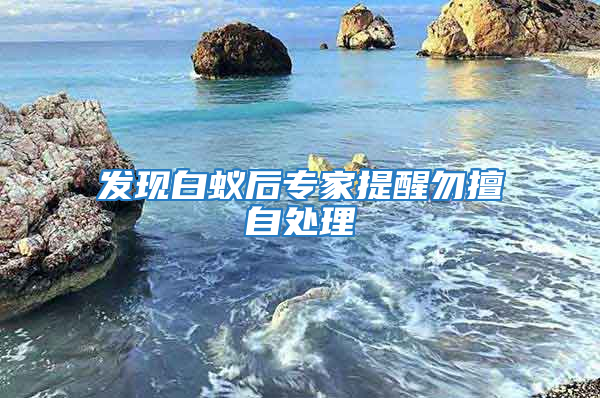 發(fā)現(xiàn)白蟻后專家提醒勿擅自處理
