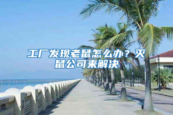 工廠發(fā)現(xiàn)老鼠怎么辦？滅鼠公司來解決