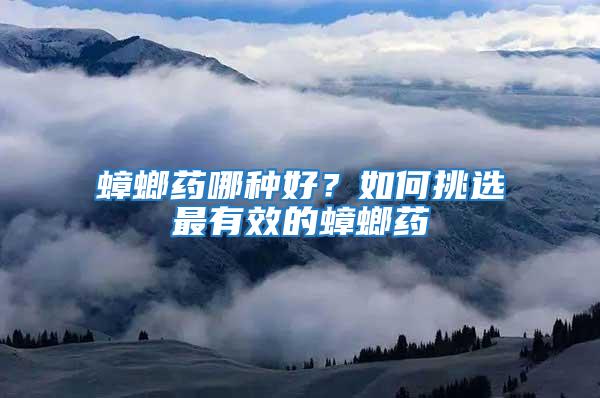 蟑螂藥哪種好？如何挑選最有效的蟑螂藥