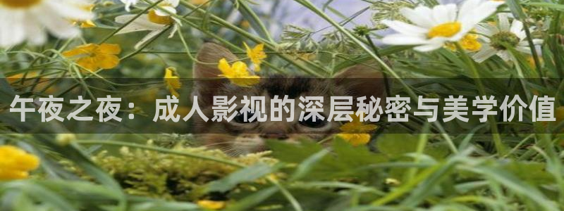 金桔利咽清喉片：午夜之夜：成人影視的深層秘密與美學價值